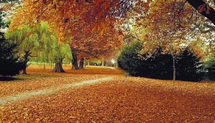 51上线新品,51上线什么皮肤