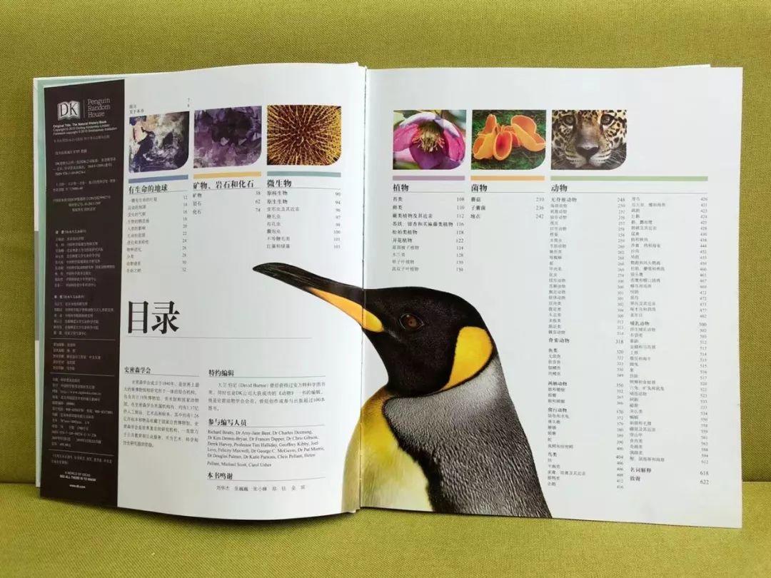 dk系列书籍六岁孩子适合入手哪些,dk儿童认知书推荐