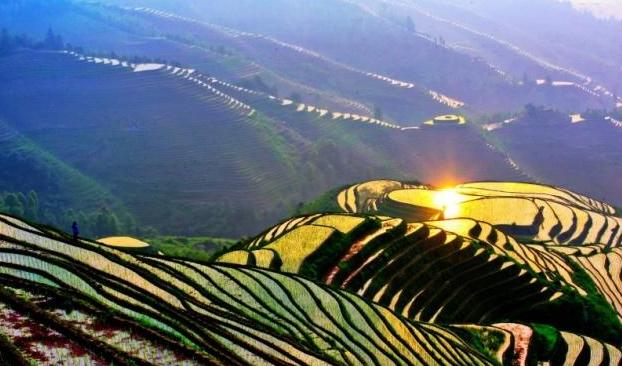 秋季桂林梯田之冠龙脊梯田,广西桂林龙胜龙脊梯田晨景