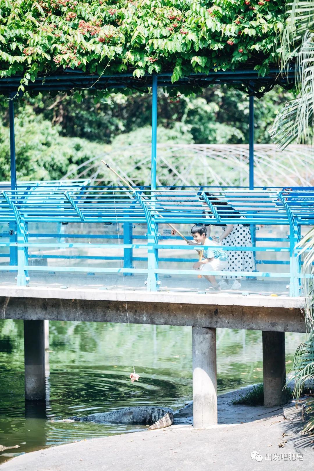 长隆飞鸟乐园长隆熊猫酒店怎么选,周一长隆野生动物园游玩攻略