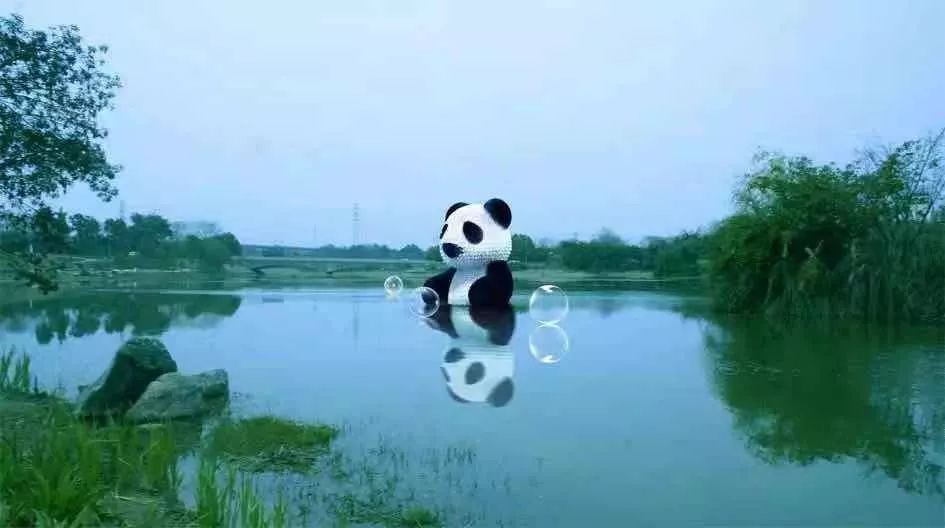 成都周末遛娃游推荐,遛狗公园成都