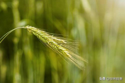 史上最全白酒酿造工艺,酿酒技术知识大全集