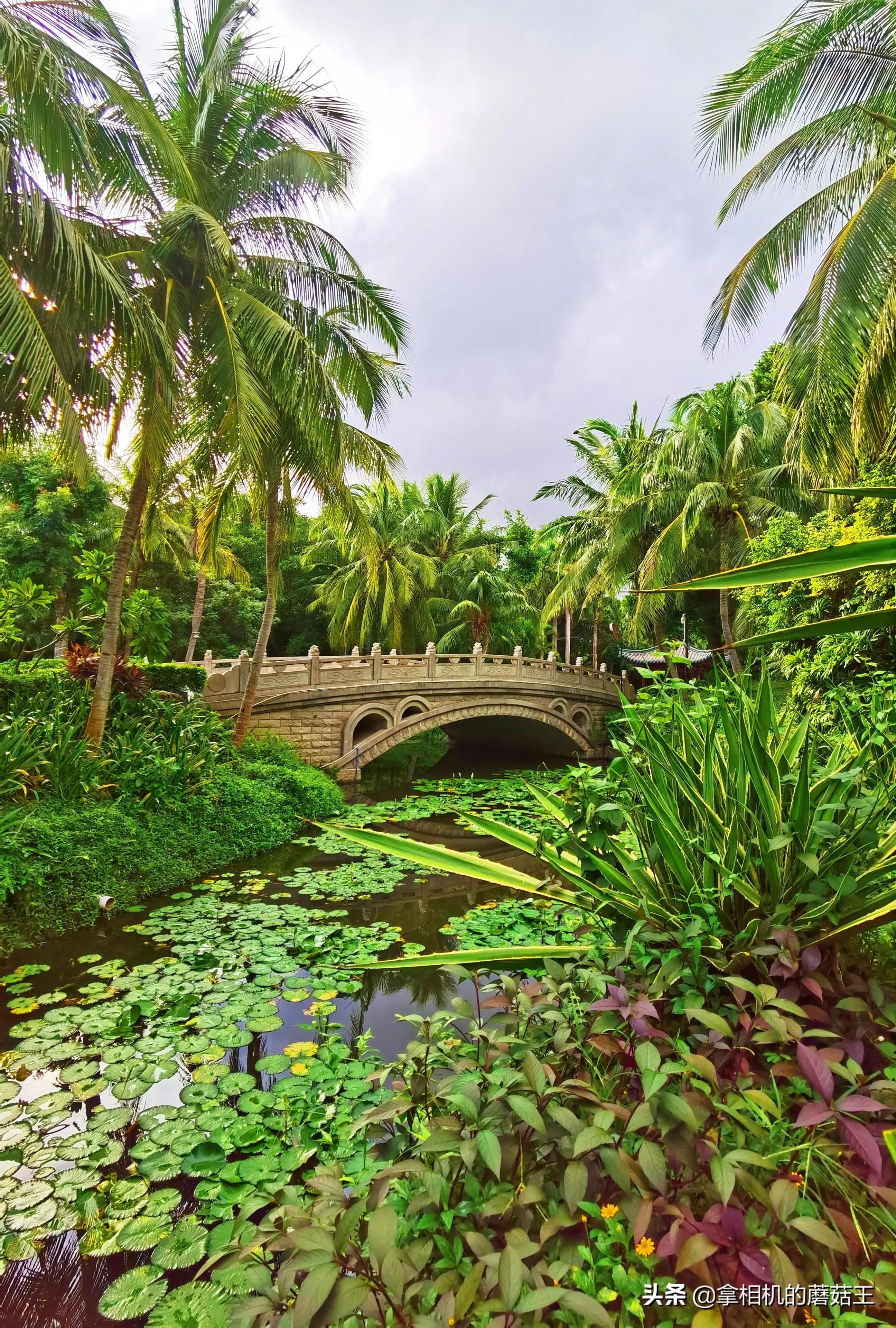 亚龙湾四星酒店价格表,亚龙湾套餐哪个合适