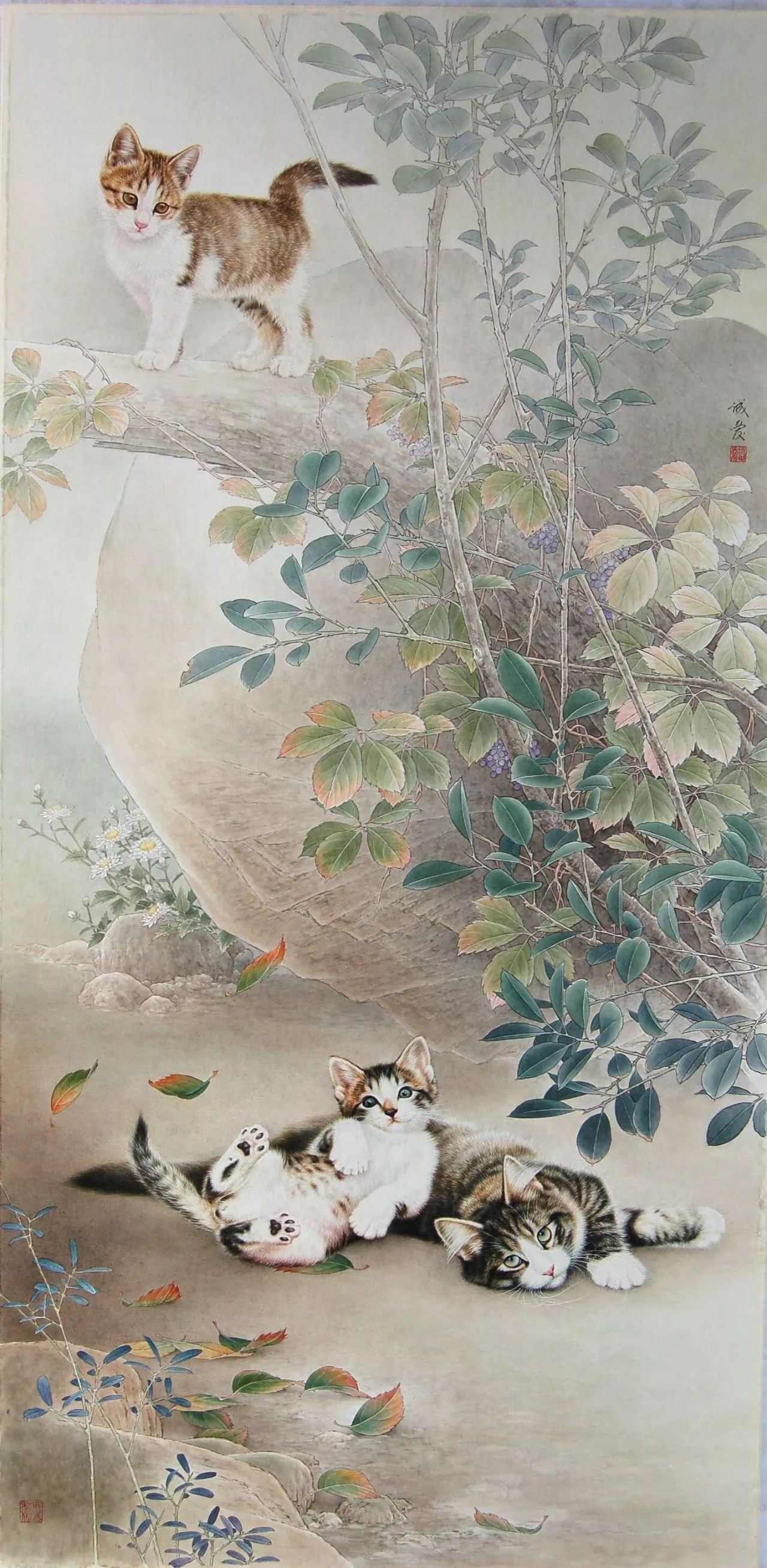 邢诚爱工笔画猫的图片,邢诚爱工笔画猫兔子高清大图