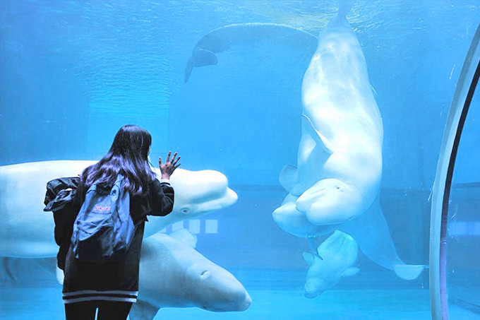 青岛三日游最佳攻略时间,青岛三日游攻略大全最新