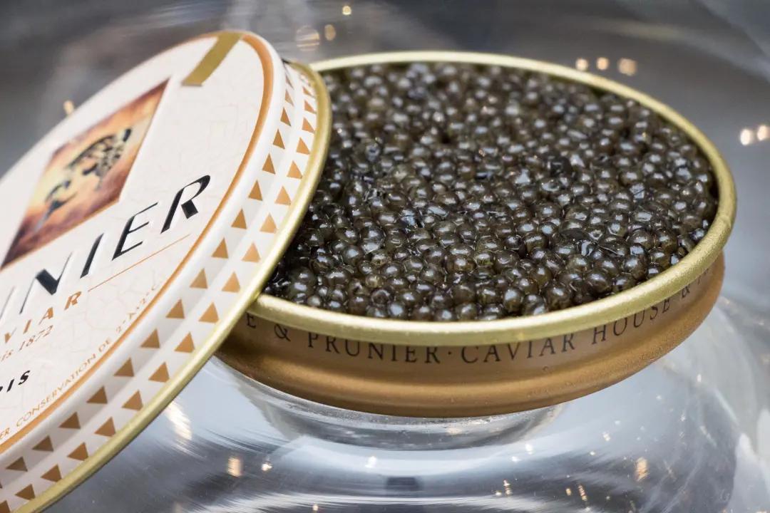 除了贵没有别的毛病,鱼子酱在哪里一点也不奢侈