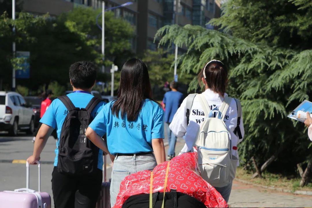 澶у杩庢柊,澶у杩庢柊鍥剧墖