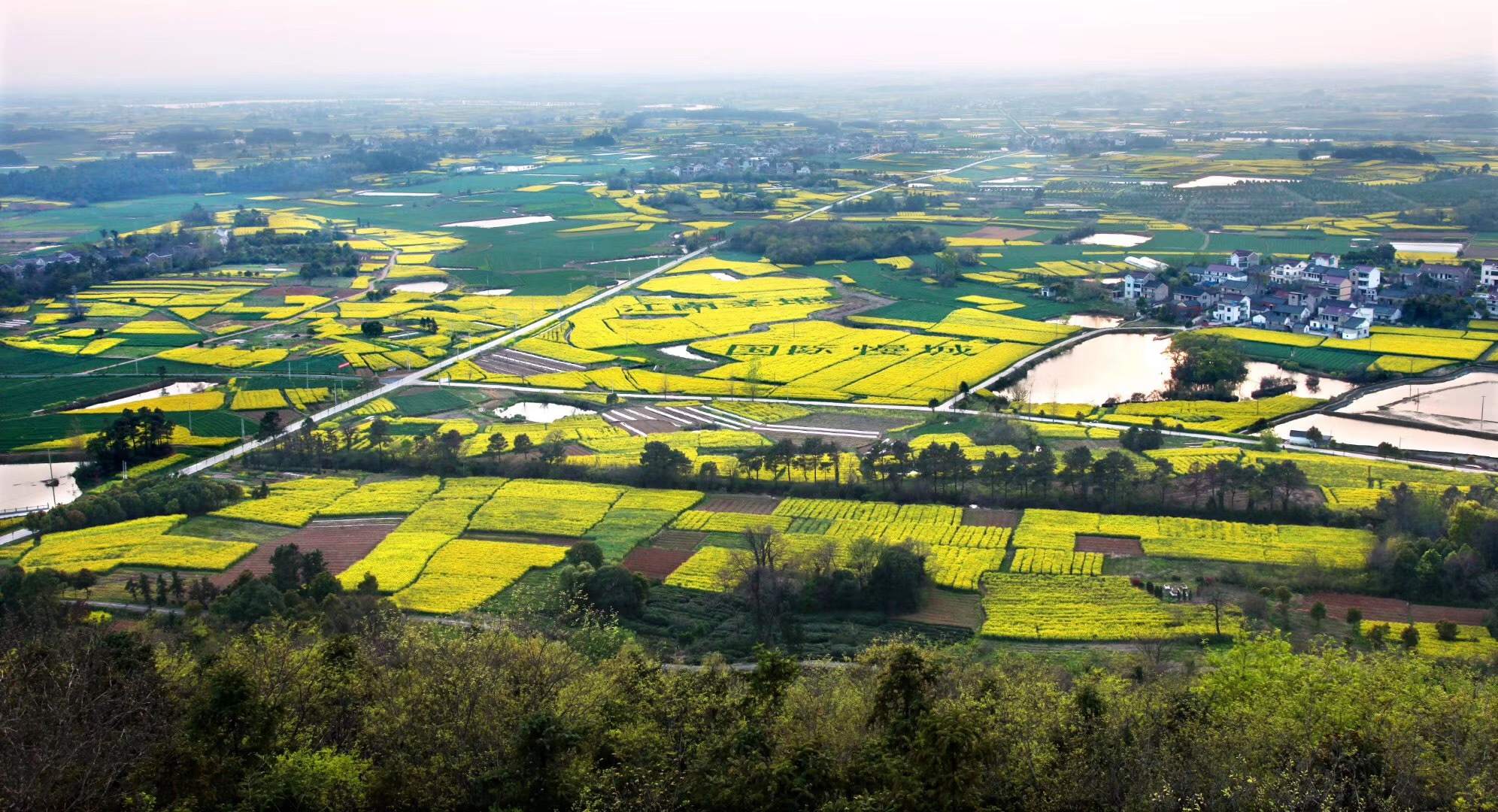 中国第一慢城高淳桠溪,南京高淳桠溪慢城
