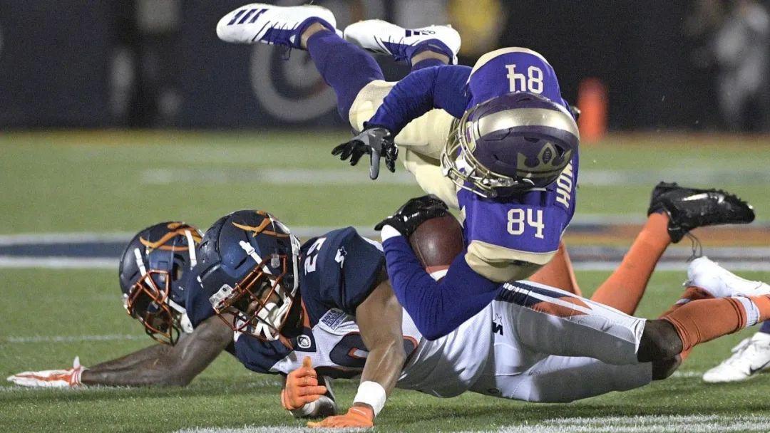 肩锁关节脱位等级及图片,解剖学肩关节