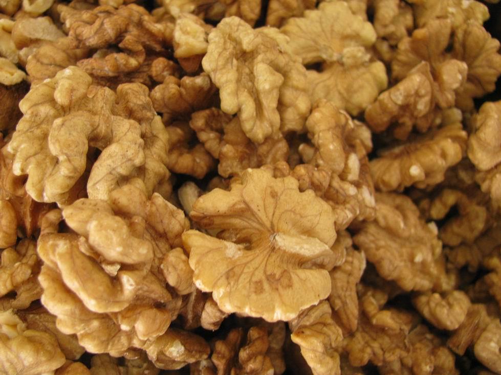 孕早期吃什么食物有安胎作用,孕初期安胎食物有哪些