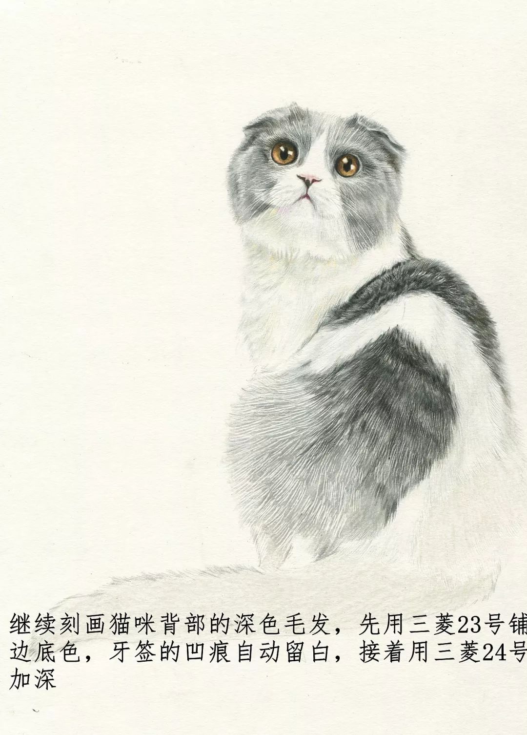 素描动物最全的收集,精微素描动物临摹高清大图