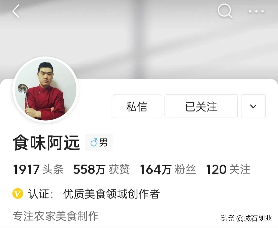 美食自媒体前十名,美食自媒体创业视频教程