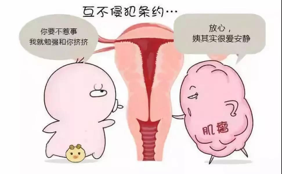 造成子宫肌瘤的6大因素你有吗?治疗方法都有哪些?全在这里了