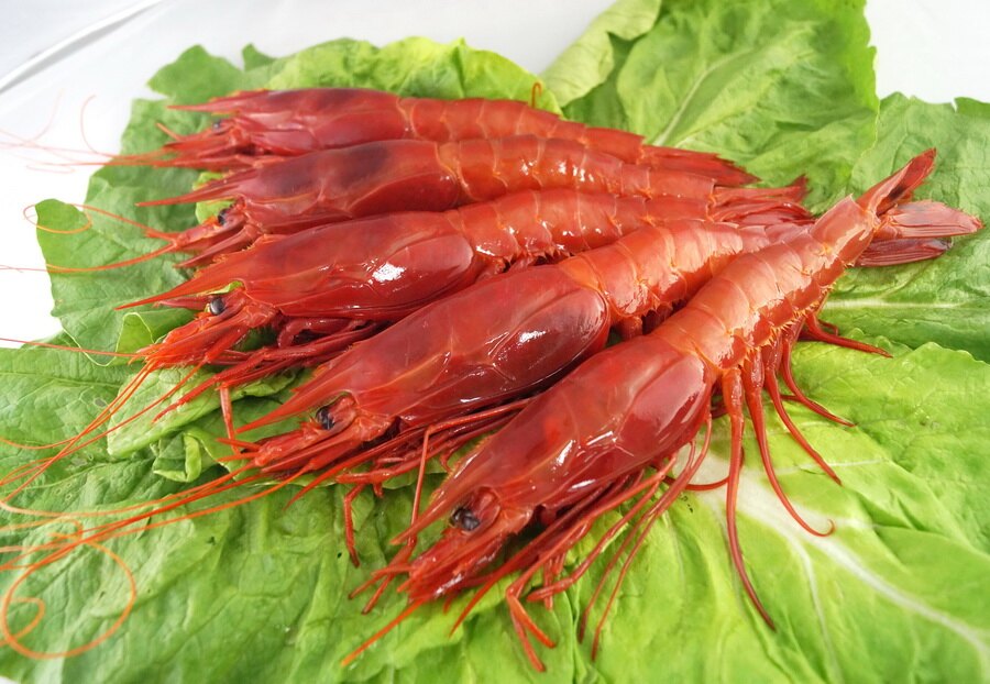 挑虾怎么挑才能挑到新鲜的虾类,如何有效挑选虾类的虾种呢