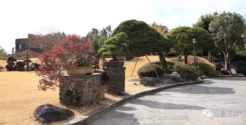 走进韩国思索之苑，这里算得上世界最美的庭园吗