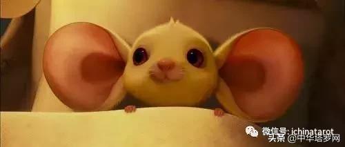 十二生肖鼠寓意,十二生肖鼠最好命