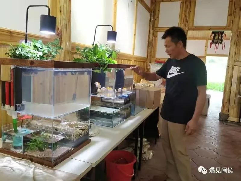 闽侯闽越古镇旅游攻略,世遗游玩