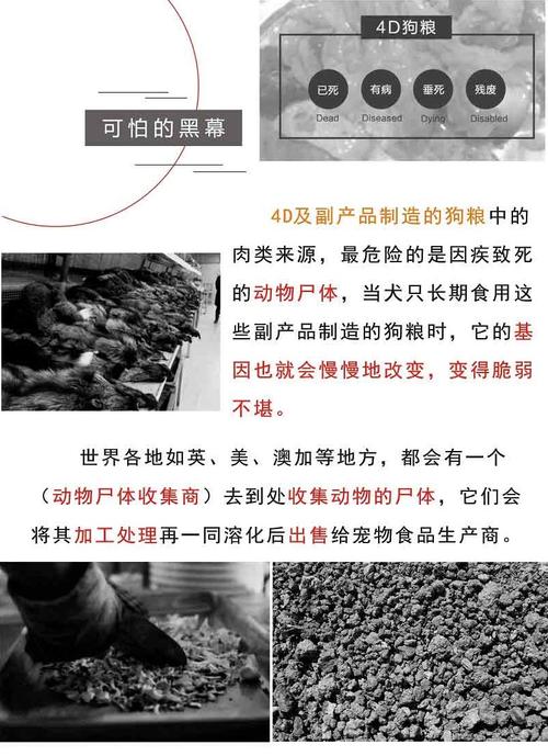 秋田犬吃什么牌子狗粮好,秋田犬都吃什么牌子的狗粮