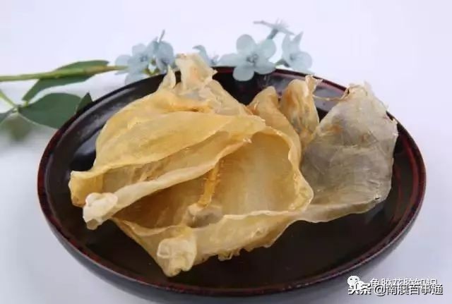 涨知识！鱼胶种类大全，不看亏大了！