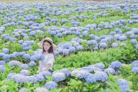 被大理丽江掩盖风头又怎样？它才是云南No.1！5月它太美了