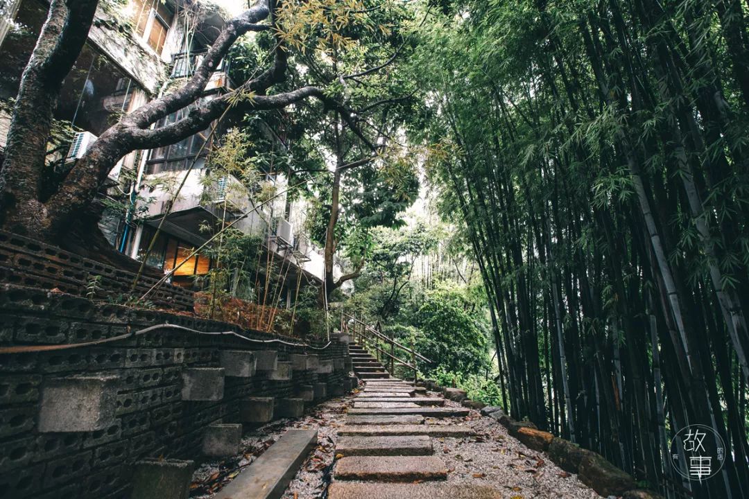 寻一处民宿过佛系生活,寻一处惬意空间偷一段闲暇时光