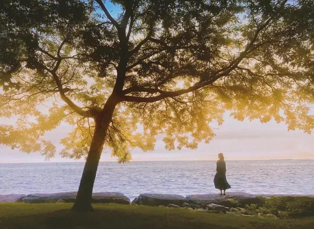 李宗盛歌曲百听不厌,李宗盛最经典的十首歌