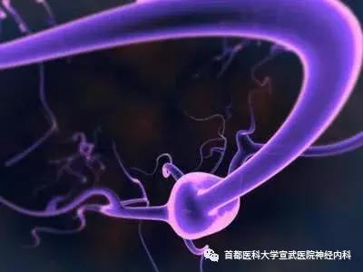 宣医健康科普,肉跳一定是渐冻人吗