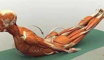 腰椎滑脱和腰椎间盘突出哪个严重,想知道腰椎间盘突出是怎样引起的