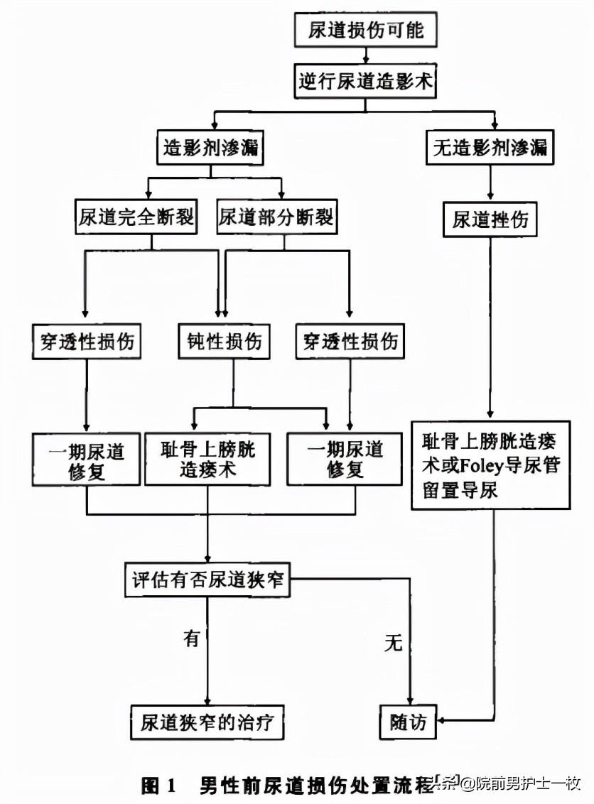 男性尿道损伤哪几种,男性尿道损伤怎么解决