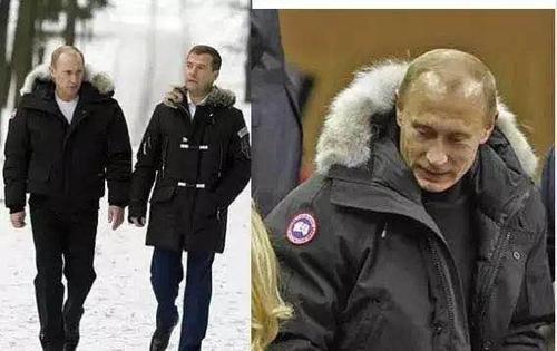 加拿大大鹅的名字来历 (加拿大鹅的由来)