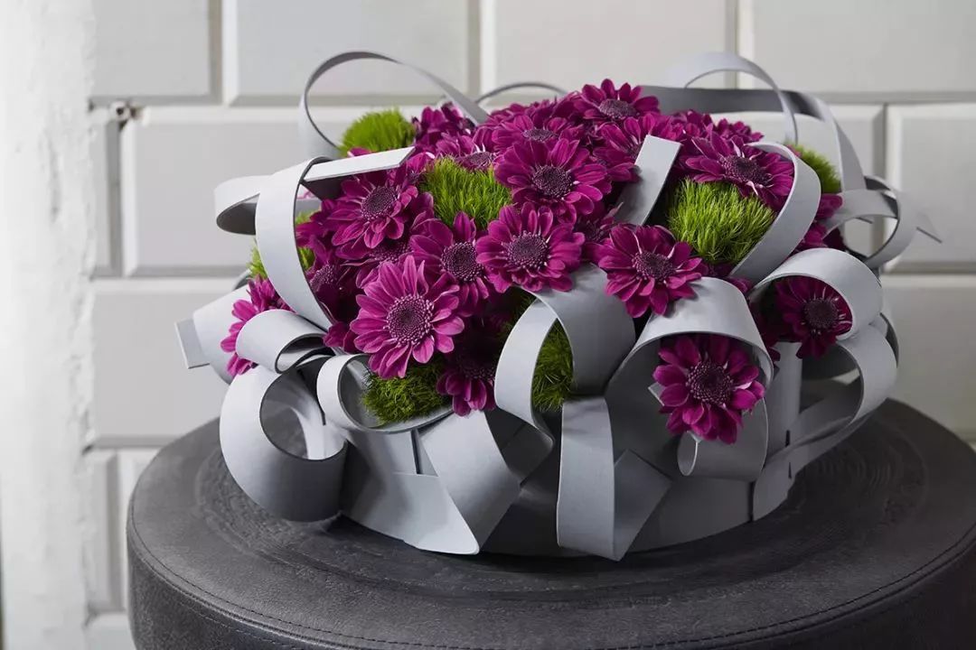 冬季切花菊,银叶菊鲜切花搭配