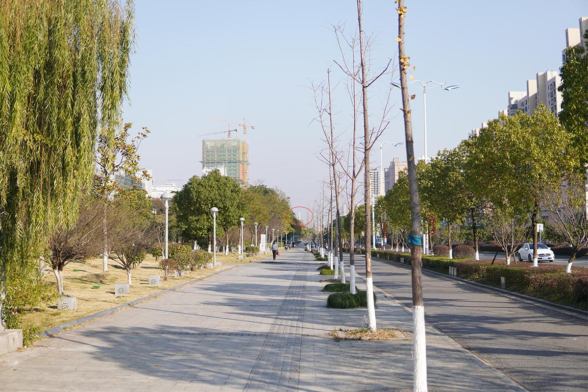 星特朗单筒望远镜十大排名,星特朗单筒望远镜视频