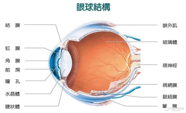 弱视恢复,江阴弱视恢复训练