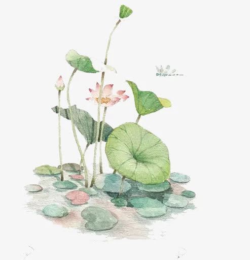 古诗中的化学原理,化学最经典的几个方程式