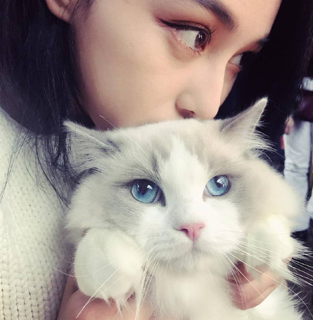 女生爱养猫喜欢独立是哪个星座,大部分女生都喜欢养猫吗