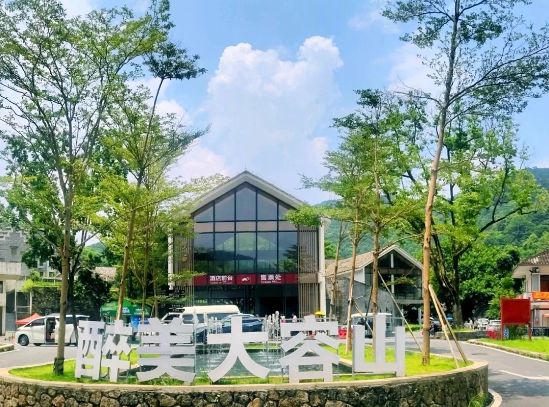 大容山露营三个露营点的区别,广西大容山森林公园露营