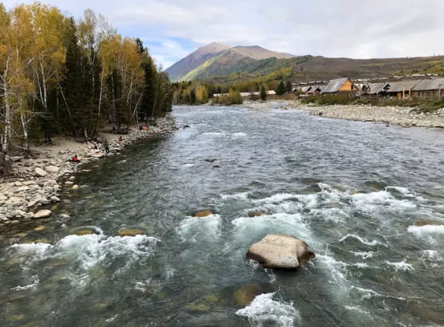 阿勒泰地区,追寻这种冷水溪流中的精灵“花翅子”现在已经禁钓