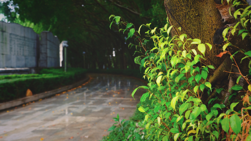 云浮小众旅游推荐,云浮小城