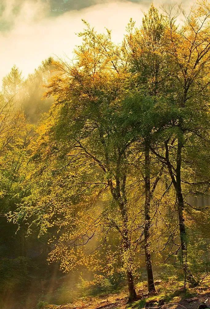 又a又飒的钢琴曲,又a又飒的英文歌曲