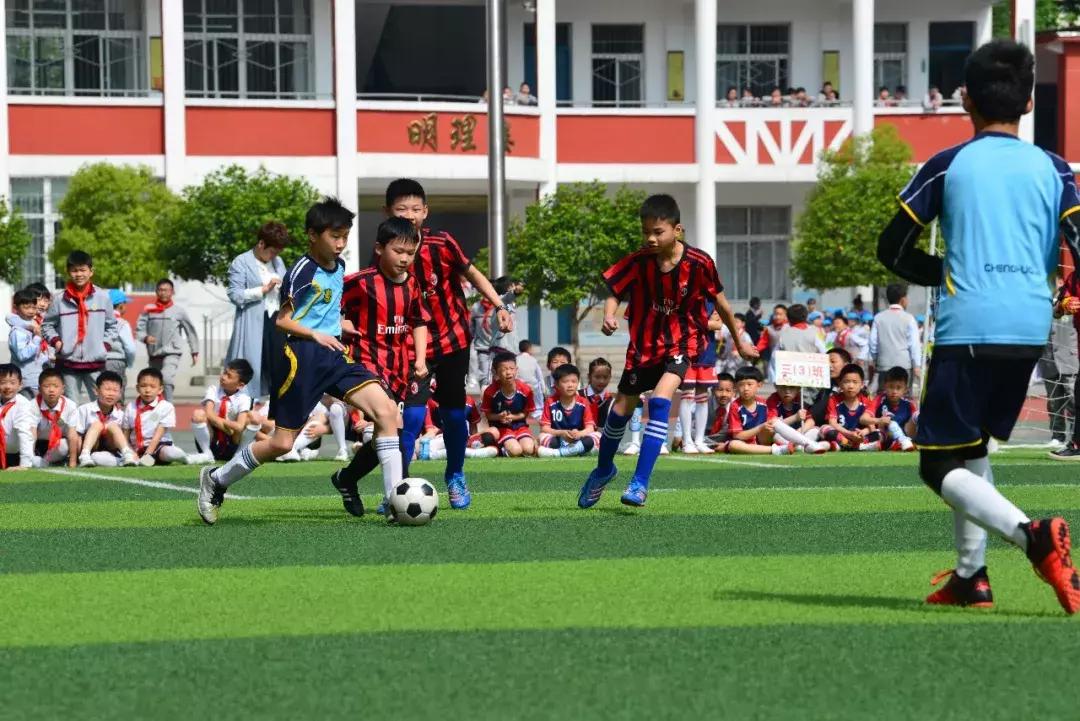 绿茵草地挥斥方遒阳光体育梦圆今朝