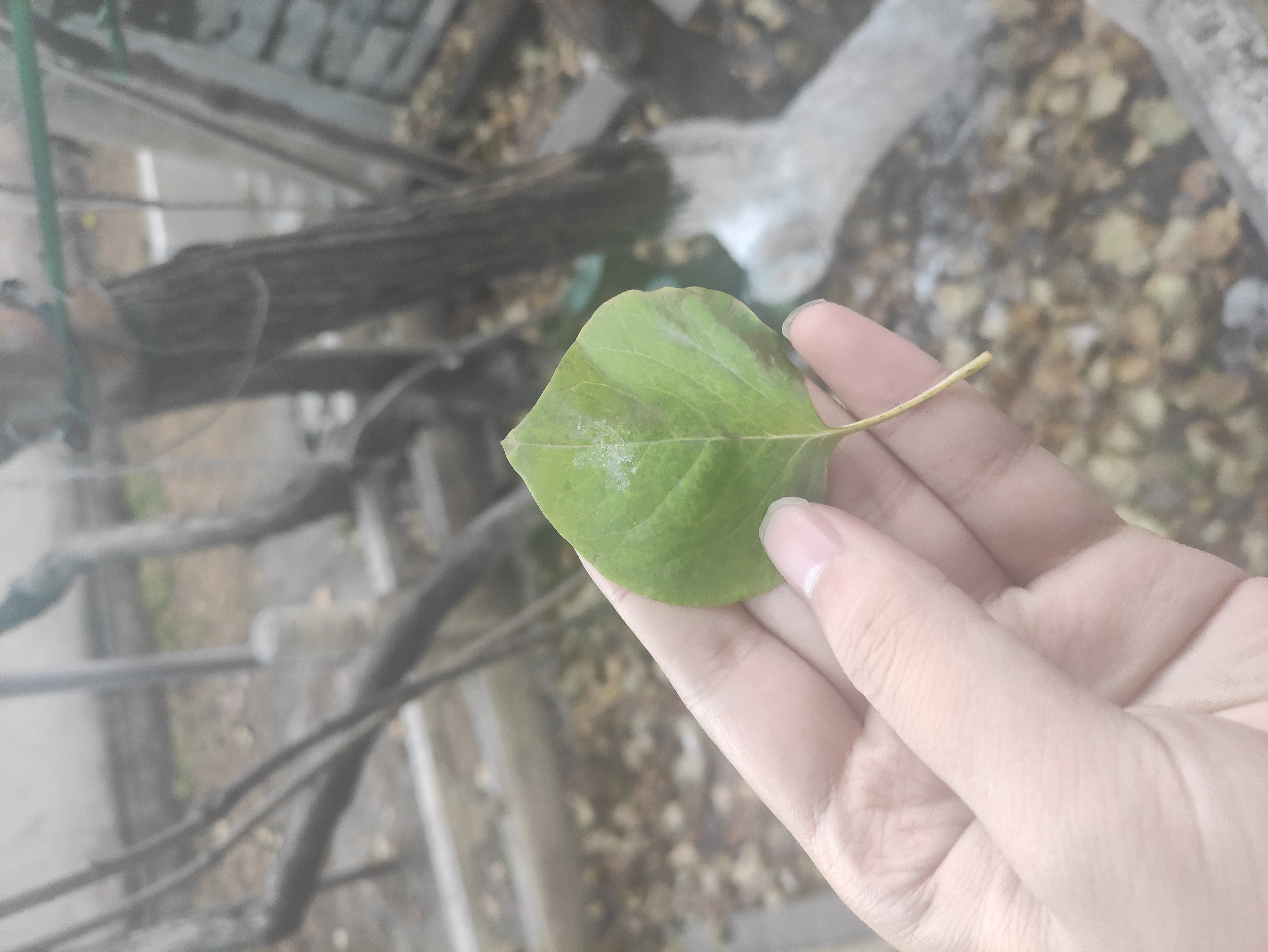 玉台寺攻略一日游,戒台寺游玩顺序