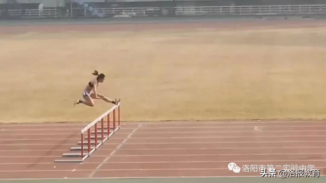 洛阳中小学阳光体育运动会,洛阳市中小学阳光体育田径运动会