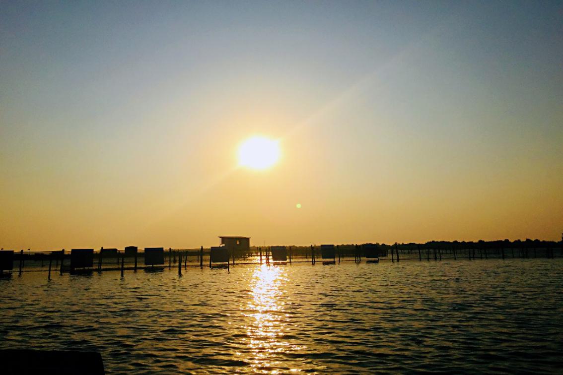 昆山阳澄湖民宿吃大闸蟹,阳澄湖吃蟹住宿