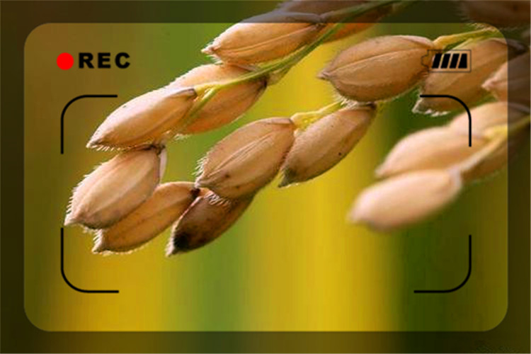 在外漂泊的人最需要什么,一个人40岁还一事无成该怎么办