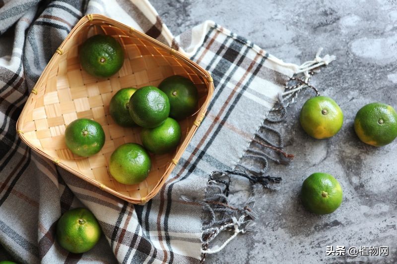 柑橘太酸了怎么办,柑橘降酸
