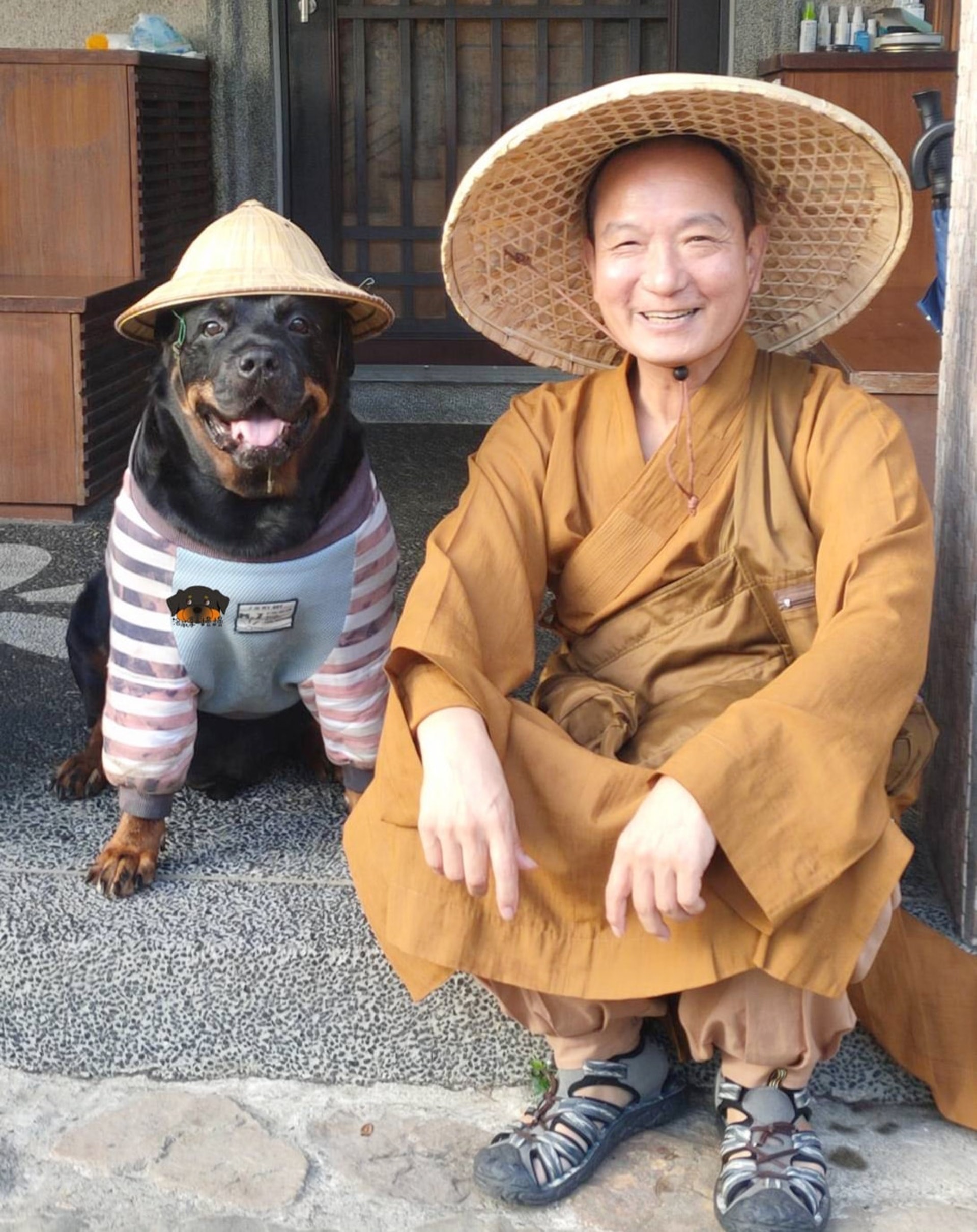 罗威纳成为奶奶的拐杖,120斤罗威纳犬视频