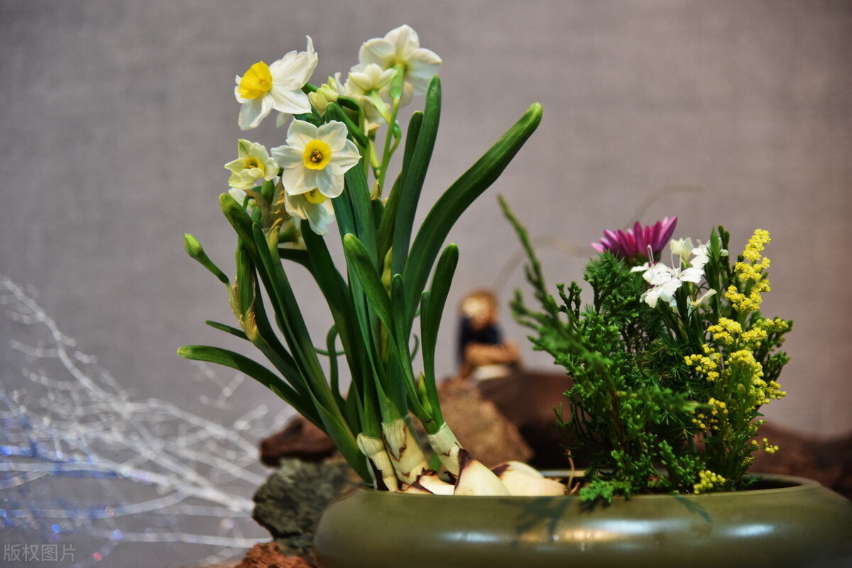 自负的人和自卑的人相比谁更成熟,自卑是因为太自恋了太在乎自己吗