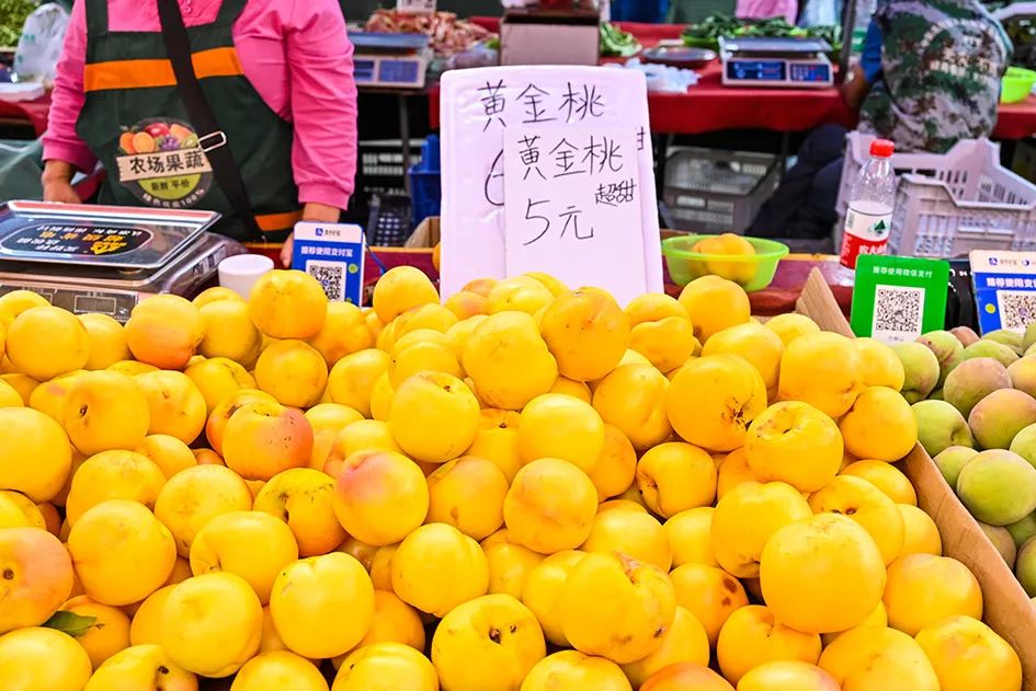 北京南城最大的早市在哪里,北京大兴早市哪个最好
