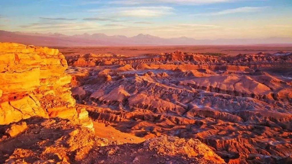 赵露思推荐补水保湿,赵露思推荐水感保湿焕颜面霜