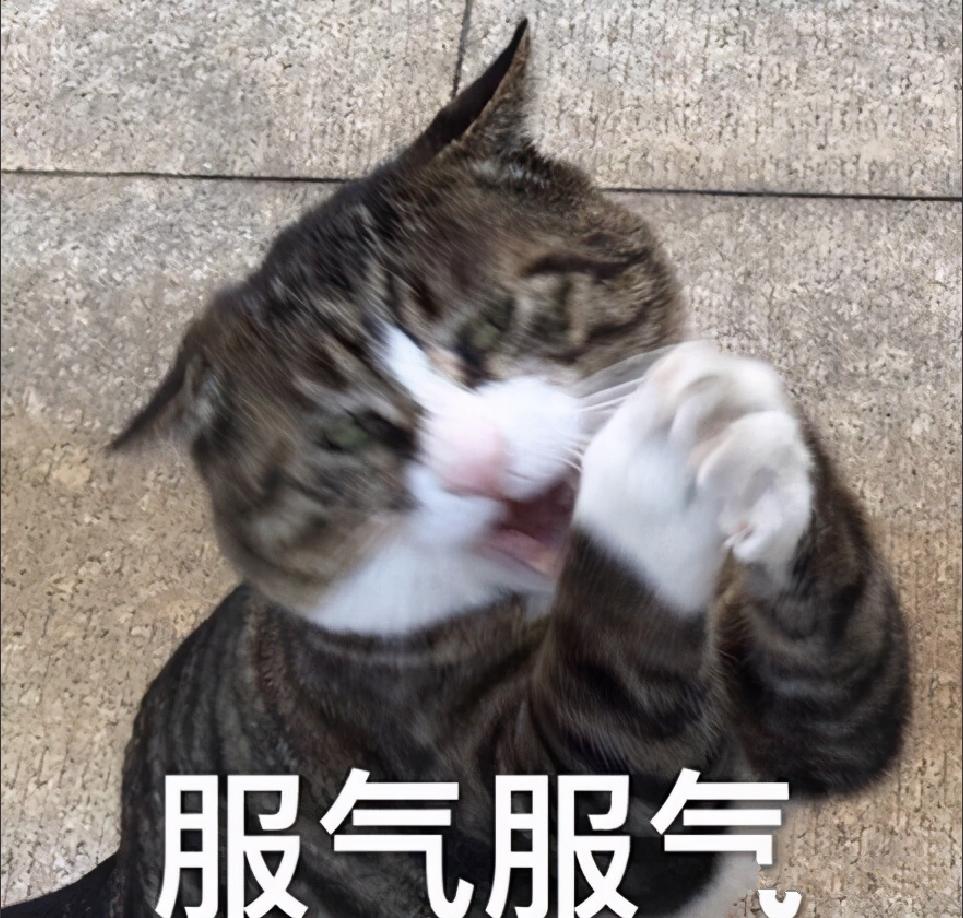 从零开始学自媒体短视频制作方法,做自媒体短视频必备工具